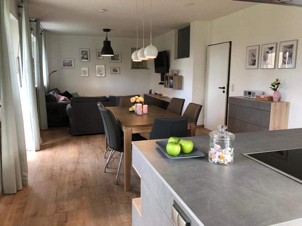 Haus Am Spitalgarten Fuer 10 Personen Gundelfingen an der Donau Экстерьер фото